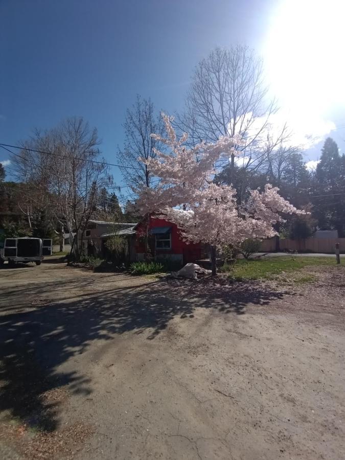 Bigfoot Rv & Cabins Park ハッピー・キャンプ エクステリア 写真