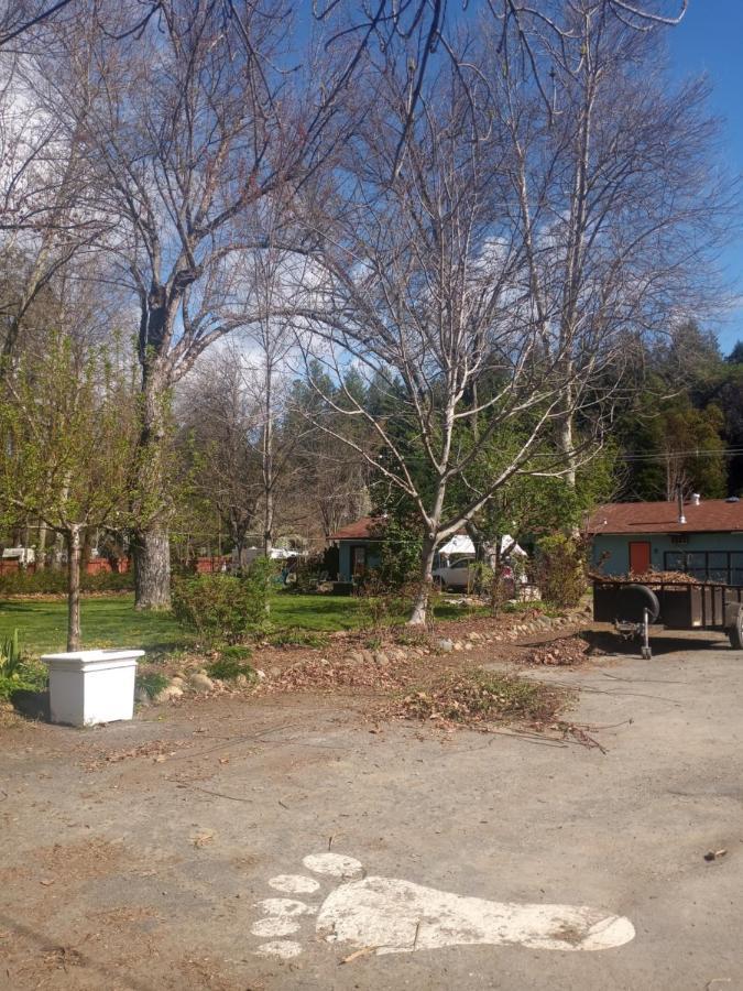 Bigfoot Rv & Cabins Park ハッピー・キャンプ エクステリア 写真